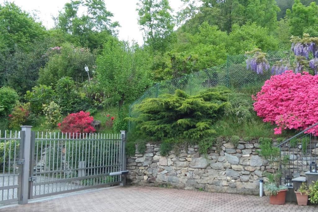 Lake Orta Openspace Garden Beach Pettenasco Εξωτερικό φωτογραφία