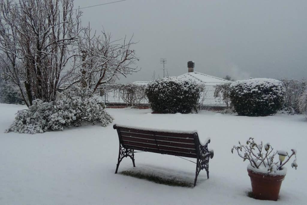 Lake Orta Openspace Garden Beach Pettenasco Εξωτερικό φωτογραφία